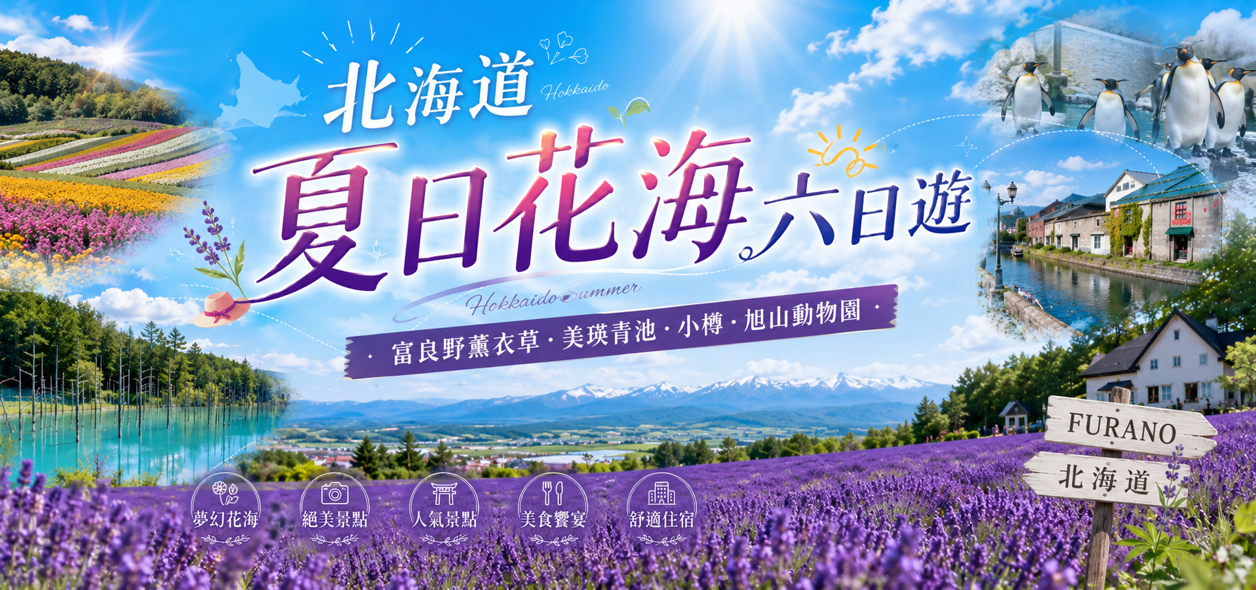 北海道夏日花海六日游｜富良野薰衣草、美瑛青池、小樽、旭山动物园